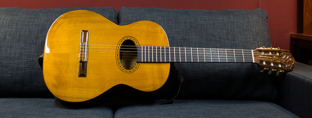 Di Giorgio Tarrega nylonstring acoustic (viola Brasileiro)