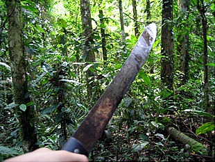 Equador - Amazon