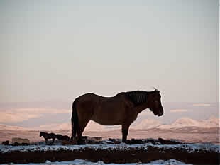 Iceland - Golden triangle