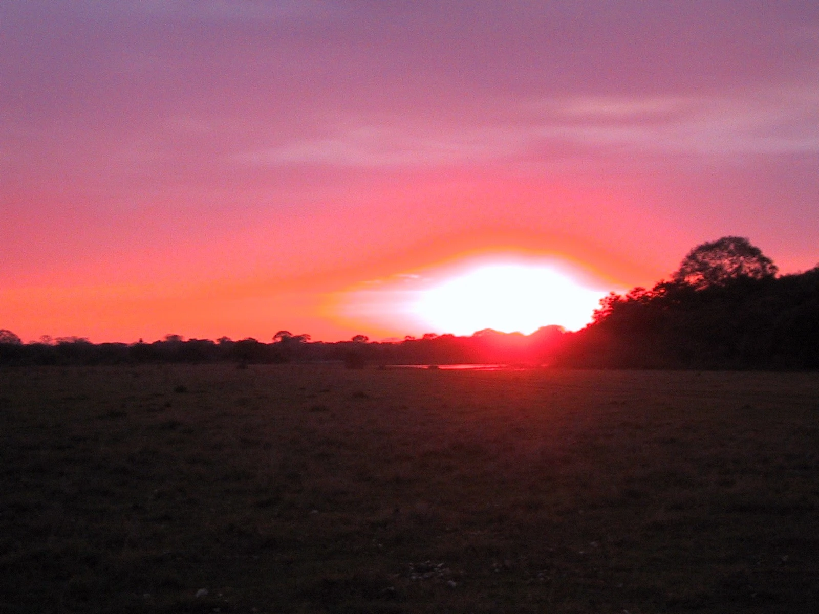 Brazil - Pantanal