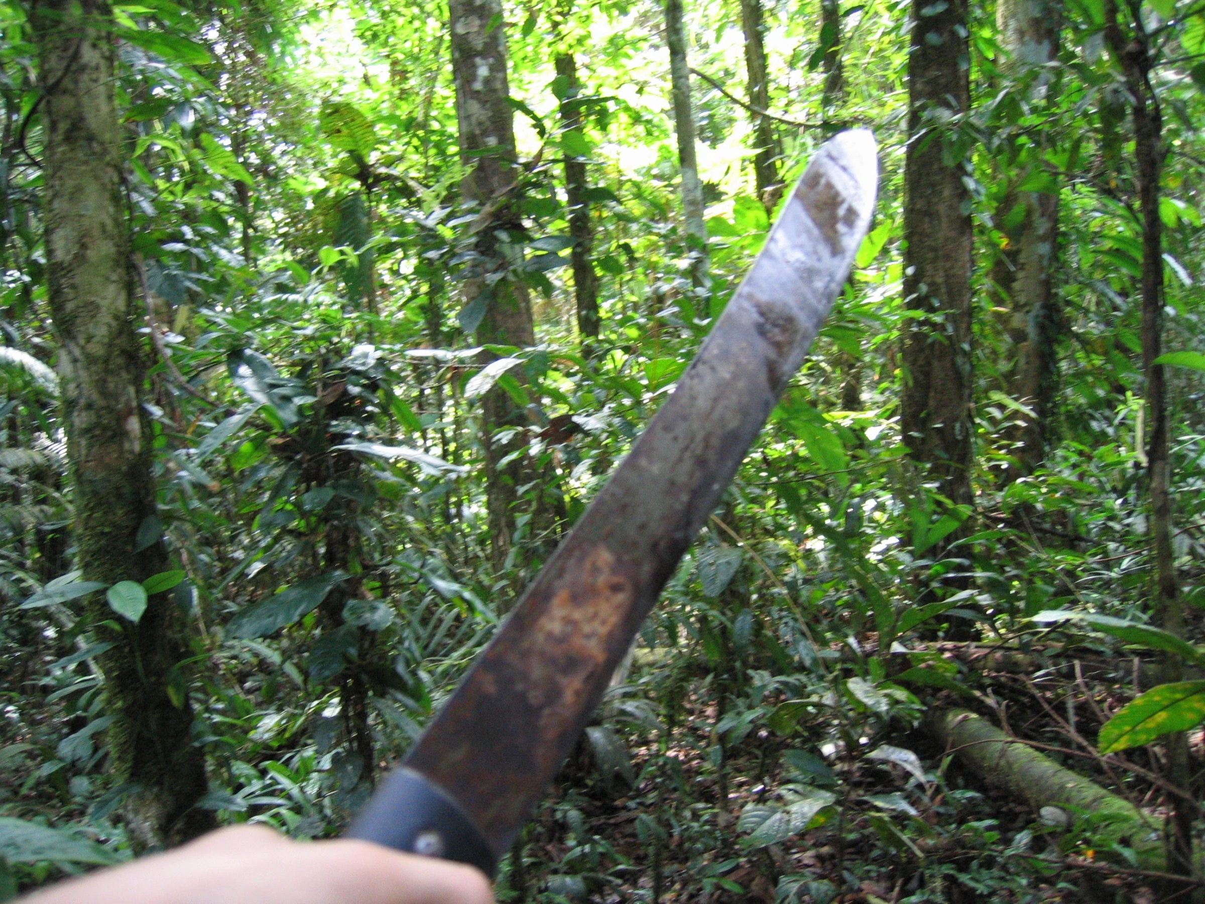 Equador - Amazon