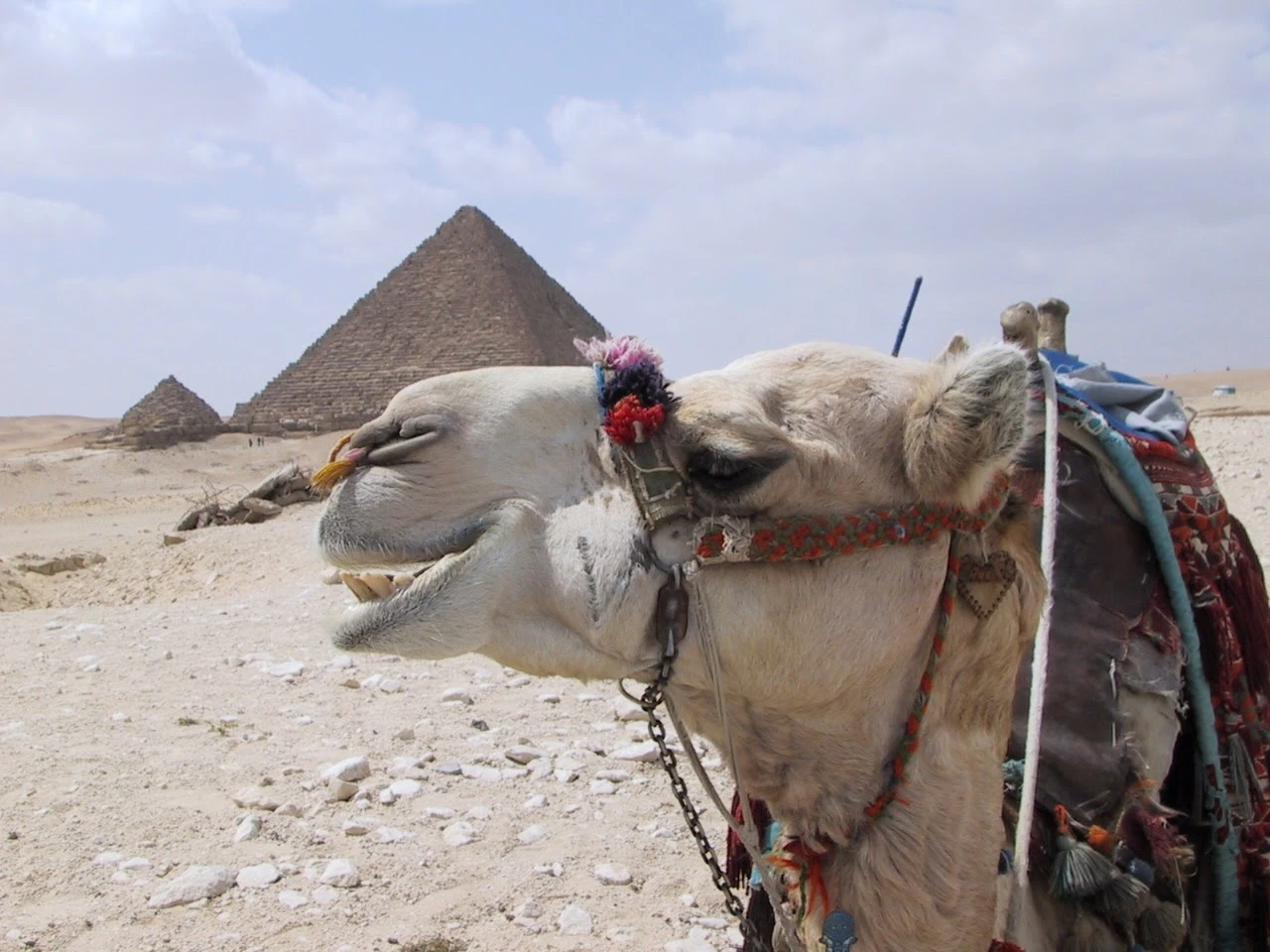 Egypt - Pyramids
